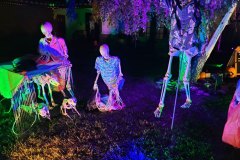 20231009_042918