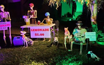 Day 10 – Lemonade Stand