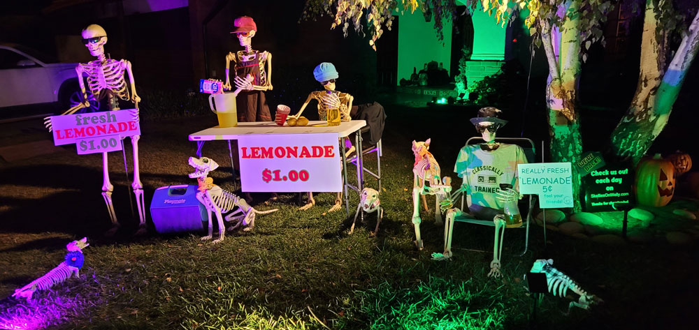 Day 10 – Lemonade Stand