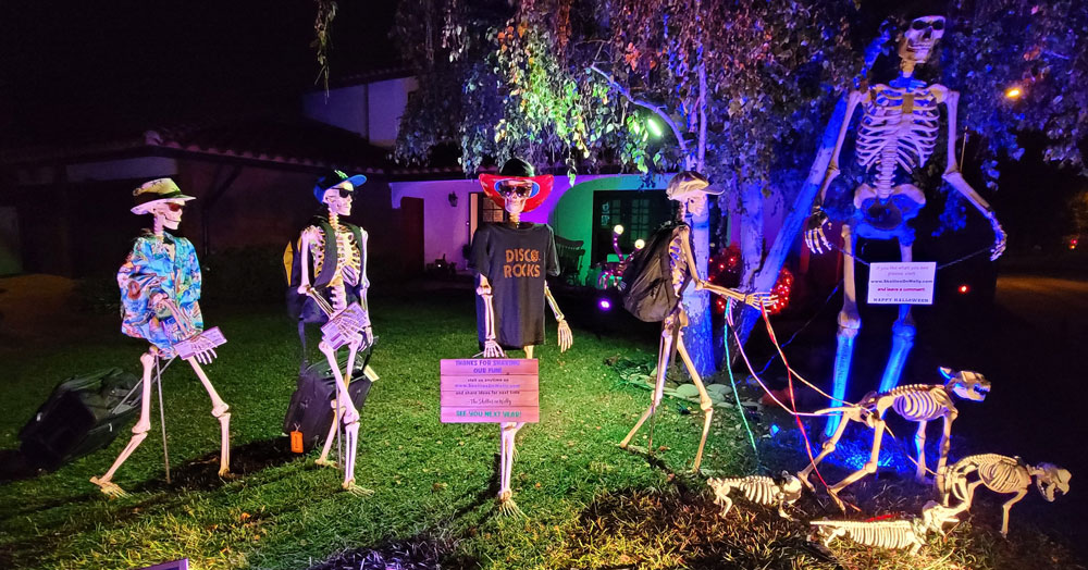 Day 29 – Skellies Leave