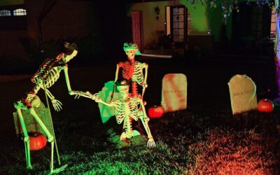 Day 4 – Skellies Find Another!