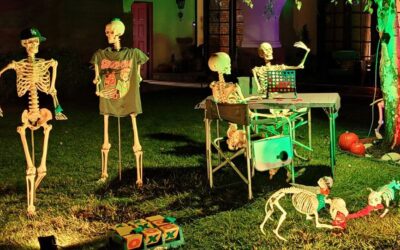 Day 11 – Skellies Game Day