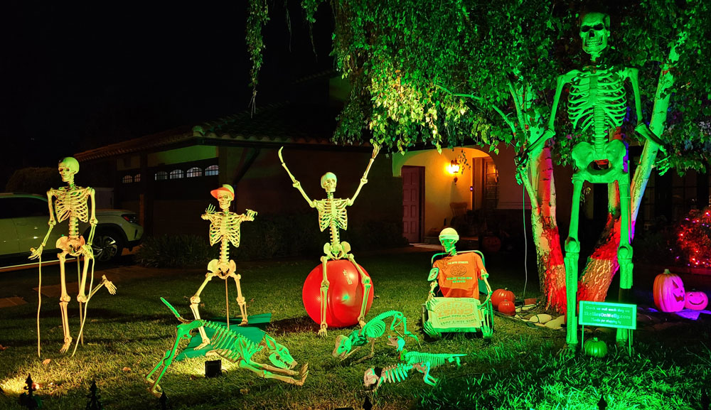 Day 14 – Skellies Working Out